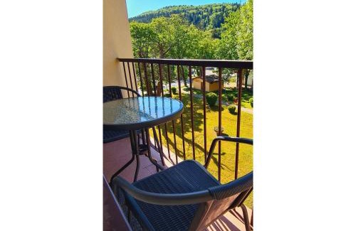 Rymanow-Zdroj Apartment | Prime Lokal 40: Center Apartment with Pet-Friendly Amenities