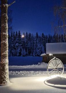 Kangasala Villa | Discover Lomatalo Honkamäki: 4-Star Retreat with Pool