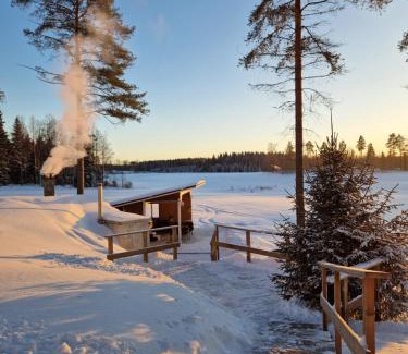 Kangasala Villa | Discover Lomatalo Honkamäki: 4-Star Retreat with Pool