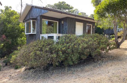 Pichilemu Cabin | Oceanfront Escape at Lomita Quebrada - Guest Rated 10/10