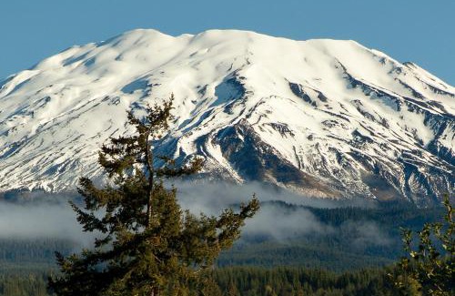 Cougar Resort | Experience Lone Fir Resort: Family-Friendly Getaway Awaits!