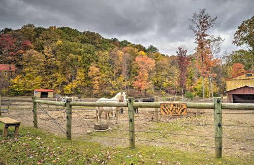 Huntingdon House | Pet-Friendly Lone Ranger Cabin on Scenic 50 Acres