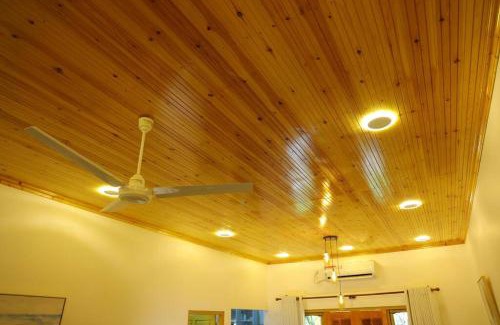 Kadurugoda House | Pet-Friendly Lone Star Residence with a 9/10 Guest Rating