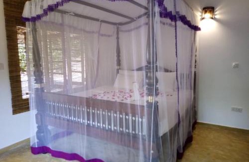 Tangalle Bed & Breakfast | Unwind at Lonely Beach Resort Tangalle with Ocean Views