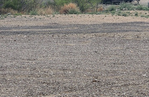 Study Butte-Terlingua RV Rental | Welcome to Longhorn Ranch Motel: Pet-Friendly RV Park