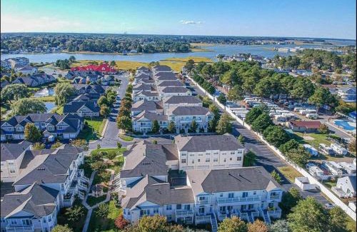 Ocean View House | Discover Bayfront Bliss: Pet-Friendly & Ocean View Retreat