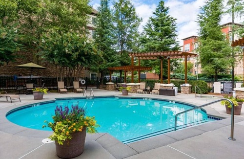 Dunwoody Apartment | Modern 1BR Suite with Kitchen & Pet-Friendly Amenities