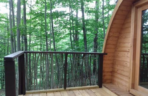 Dryden Cabin | Lookout Camping Pod