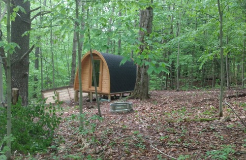 Dryden Cabin | Lookout Camping Pod