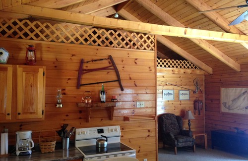 Chestertown Cabin | Cozy Loon Lake Log Cabin: Canoe, Fire Pit & Game Room!