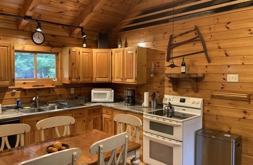 Chestertown Cabin | Cozy Loon Lake Log Cabin: Canoe, Fire Pit & Game Room!