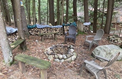 Chestertown Cabin | Cozy Loon Lake Log Cabin: Canoe, Fire Pit & Game Room!