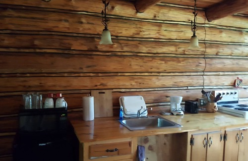 Condon Cabin | Enchanting Loon's Nest Cabin Amidst Majestic Pines