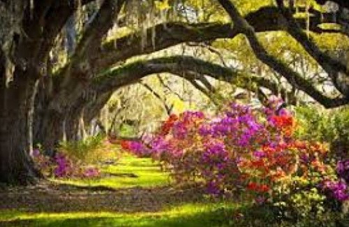 Johns Island Apartment | Experience Loo's Roost: A Unique Charleston Getaway
