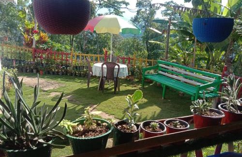 Darjeeling House | Pet-Friendly Lopchan Homestay with 10/10 Guest Reviews