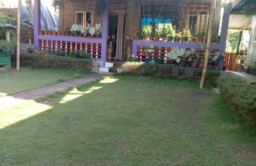 Darjeeling House | Pet-Friendly Lopchan Homestay with 10/10 Guest Reviews