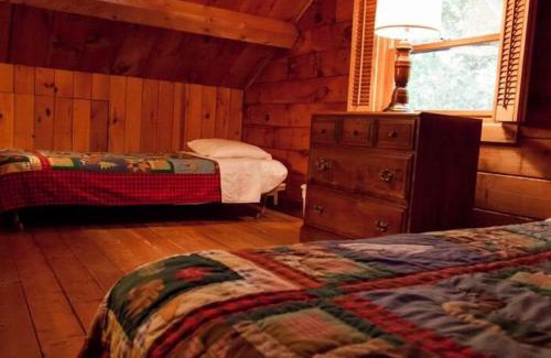 Beaver Cove House | Family-Friendly Retreat at Lorax Lane - Rated 10/10