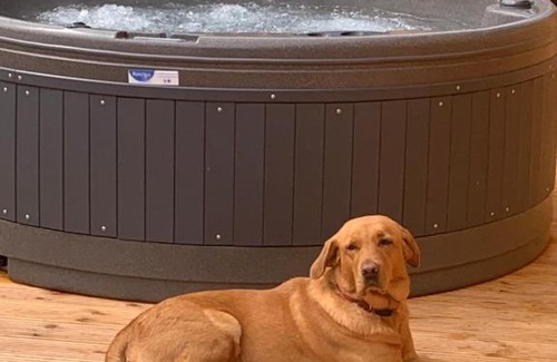 Newton Stewart Ski Chalet | Pet-Friendly Lord Galloway 36 with Inviting Hot Tub
