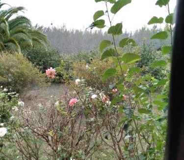 Veronica House | Discover Los Almendros: 10/10 Rated Family-Friendly Retreat