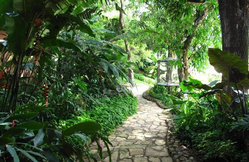 Suchitoto Hotel | Explore Los Almendros de San Lorenzo: Pet-Friendly Oasis