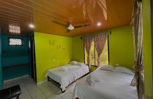 Tortuguero Hotel | Relax at Los Amigos Jungle Hotel Tortuguero with Pool & Views
