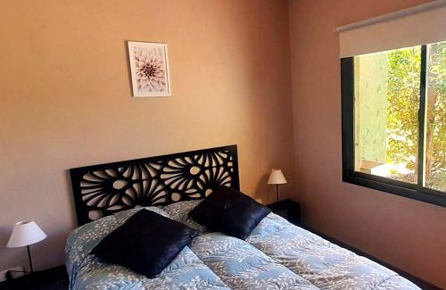 Juan Martin de Pueyrredon Cabin | Discover Los Bambues Cabañas: Pet-Friendly Oceanfront Retreat