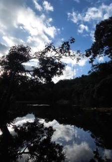 Potrero Grande Cabin | Inviting Los Chocuacos: Family-Friendly with Pool & Dining