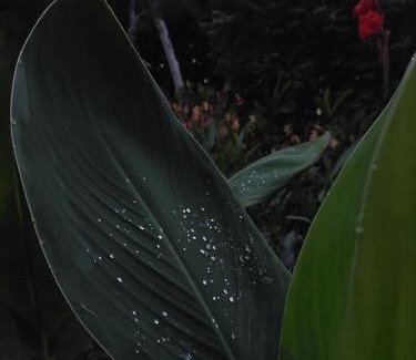 Potrero Grande Cabin | Inviting Los Chocuacos: Family-Friendly with Pool & Dining