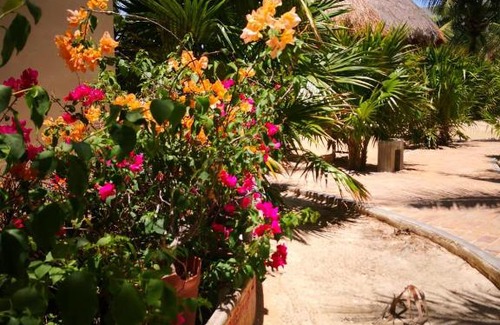 Progreso Municipality Apartment | Relax at Los Cocos de Chacá with Ocean Views & Private Pool