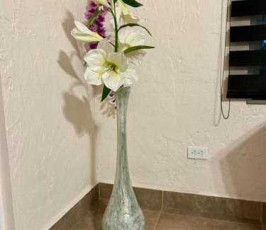 Queretaro Municipality House | Los compadres