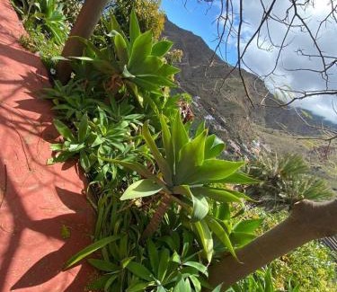 Hermigua House | Family-Friendly Stay at Los Corralitos - Rated 9.1/10