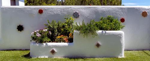 Carataunas House | Discover Los Llanos: Top-Rated Hotel with Ocean Views