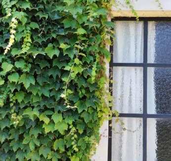 San Antonio de Areco Apartment | Pet-Friendly Retreat at Los Tilos with Top Guest Ratings
