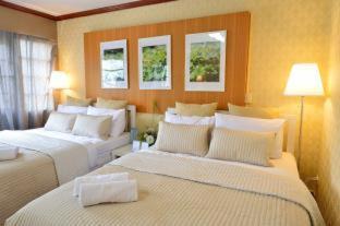 Sanam Pao Bed & Breakfast | Cozy Lost and Found Bed and Breakfast with Free Breakfast