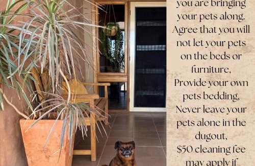 Coober Pedy House | Lot 1002 Underground Home