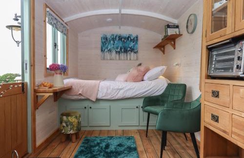 Sticklepath House | Experience Lottie's Hut - 4-Star Pet Friendly Retreat