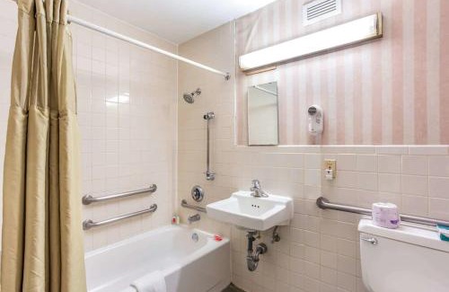 Boise Hotel | Pet-Friendly Stay at Lotus by Hotel Inn with Family Amenities