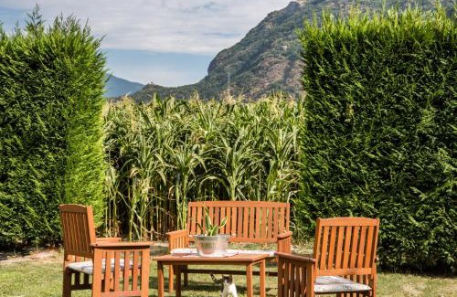 Donnas House | Experience Lou Rosé: Pet-Friendly Retreat with Top Amenities