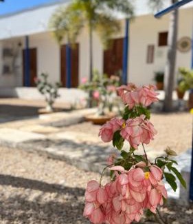 Porto das Dunas House | Guest Rated 9.6: Relax at Lounge PDD with Pool & Pet-Friendly