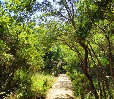 Mattat Other | Enchanting Love Frequency - A Yurt Experience in Matat