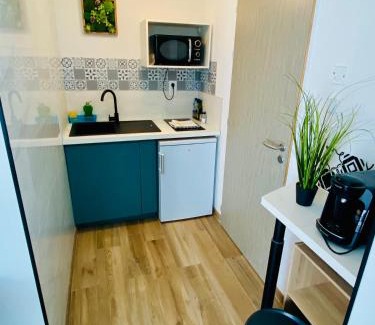 Aussonne Apartment | Convenient Suites Near MEETT & Airport with Pool Access
