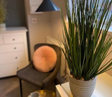 Dudley Apartment | Cozy 1 Bed Studio Apartment - Guest Rated 8.7/10