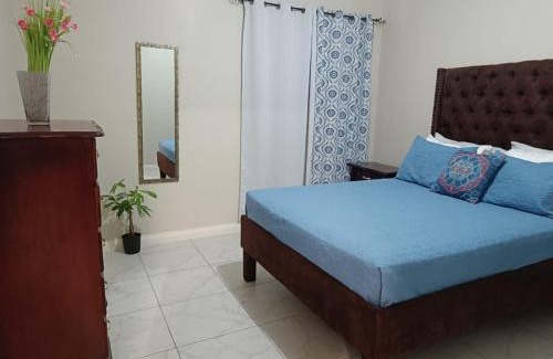New Kingston Apartment | Charming 2 Bedroom Retreat with Netflix Near National Stadium