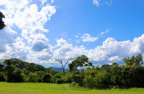 Mutare Apartment | Cozy Apartments in Zimbabwe for Families and Pets