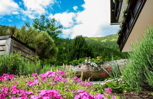 Donnersbachwald Apartment | Cozy Apartment for 4 with Wifi, Terrace & Panoramic Views