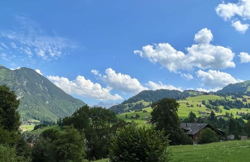 Zweisimmen Apartment | Lovely apartment for 8 people with WIFI, TV, balcony, pets allowed and parking