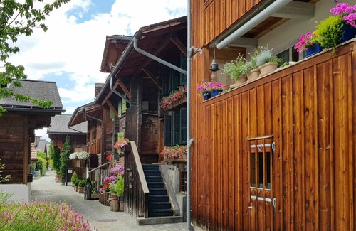 Saanen Apartment | Comfortable Apartment for 12 with Terrace and Free WiFi