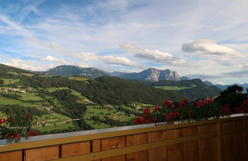 Albions Apartment | Cozy Apartment for 4 with Pool, Pets Welcome & Free WiFi