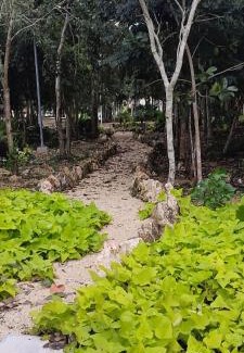 Cancun Apartment | Pet-Friendly Haven: HOEStel Pedreira with Pool & Family Fun
