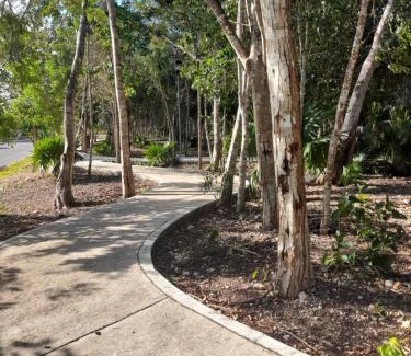 Cancun Apartment | Pet-Friendly Haven: HOEStel Pedreira with Pool & Family Fun